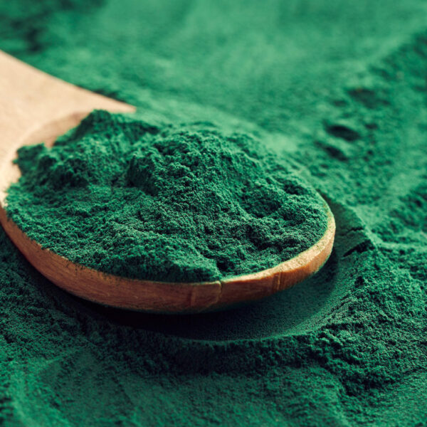 Spirulina