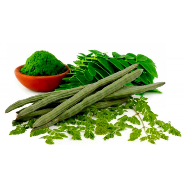Local Amerindian Moringa